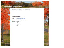 Tablet Screenshot of debiberry.com